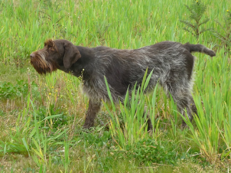 TR. Gladys du haut de la prairie