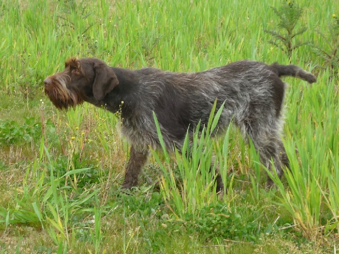 du haut de la prairie - CACT POUR GLADYS